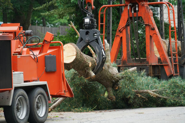 Best Tree Mulching  in West Menlo Park, CA